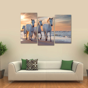 Lipicaneri na plaži