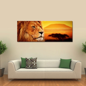 Lav - Kralj životinja