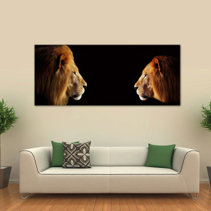 Lav i lavica na crnoj pozadini