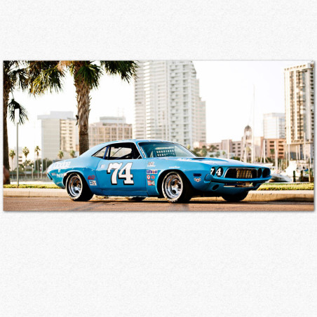 Dodge muscle