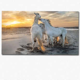 Sunce, pesak i sloboda - Panoramna slika