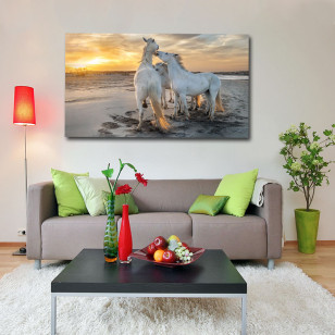 Sunce, pesak i sloboda - Panoramna slika