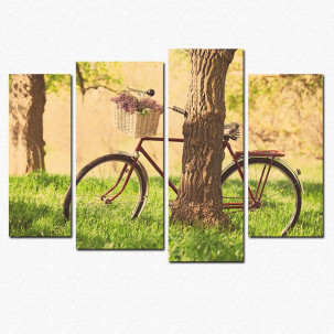 Bicikla kraj drveta